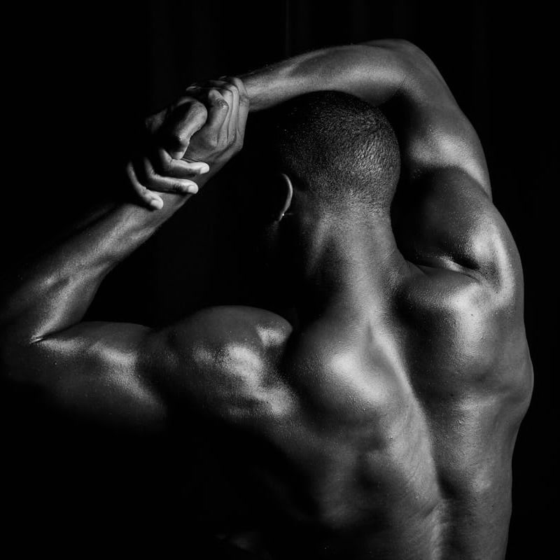 Les meilleurs exercices de musculation du dos